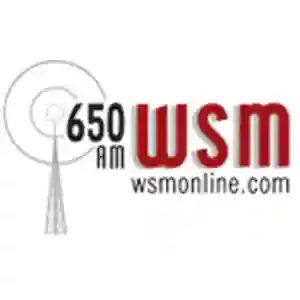 WSM 650 AM Radio